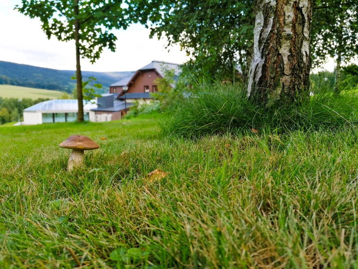 Amenity Hotel & Resort Orlicke Hory Desztne w Górach Orlickich Zewnętrze zdjęcie