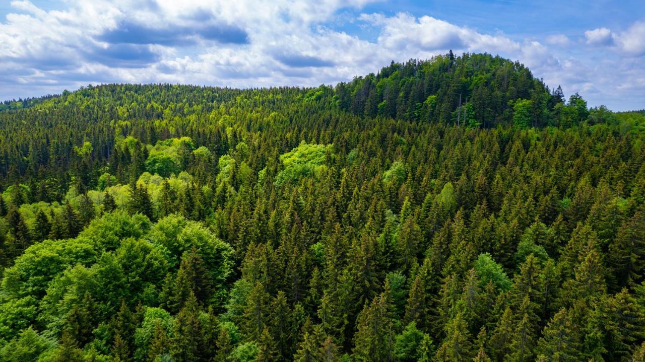 Amenity Hotel & Resort Orlicke Hory Desztne w Górach Orlickich Zewnętrze zdjęcie